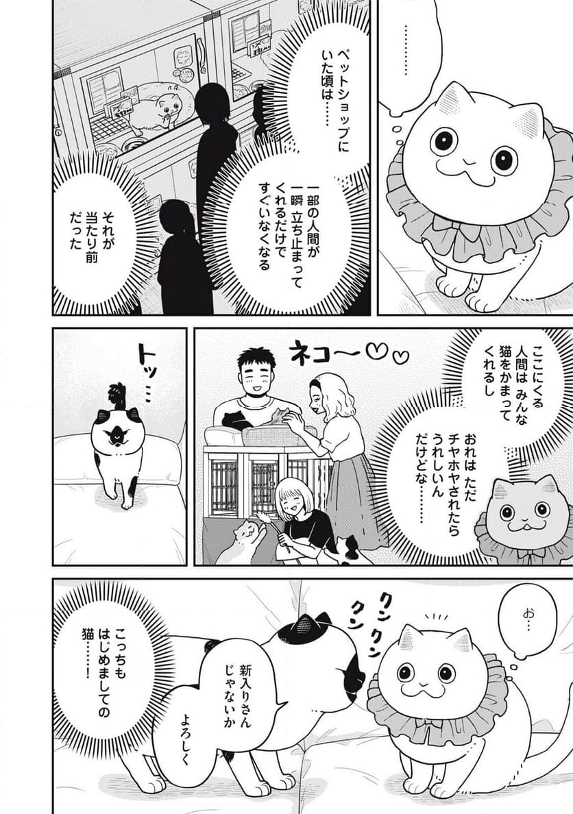 ツレ猫 マルルとハチ - 第45話 - Page 4