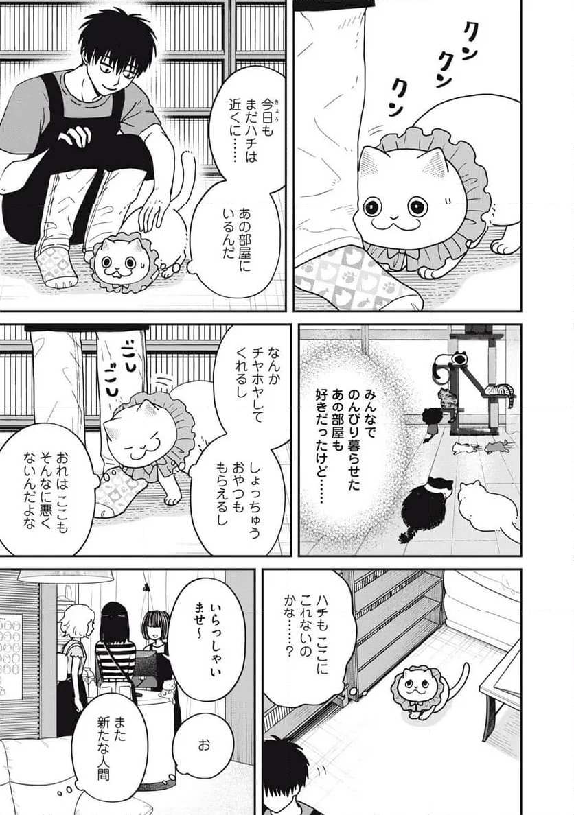 ツレ猫 マルルとハチ - 第45話 - Page 7