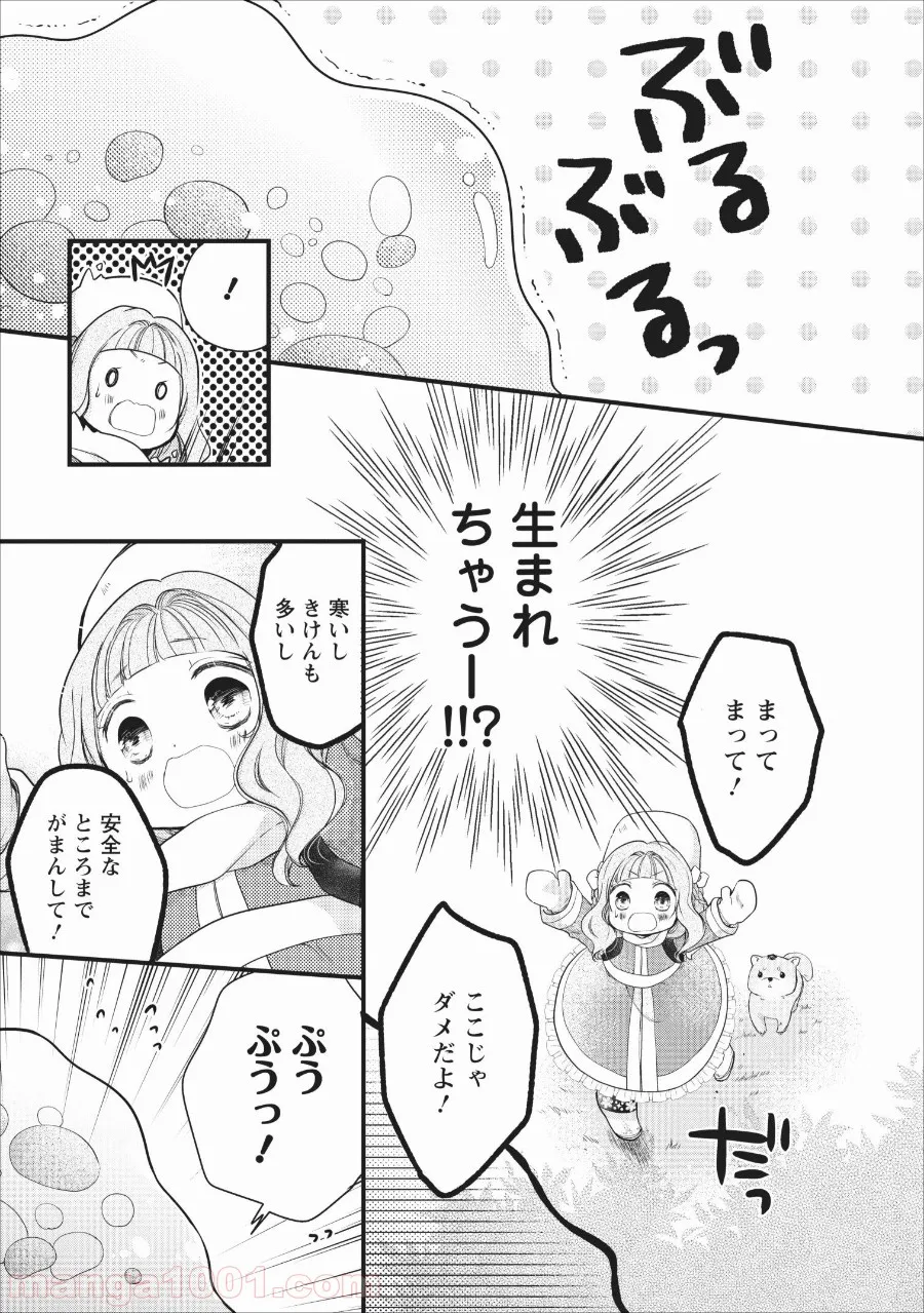 異世界でもふもふなでなでするためにがんばってます。 - 第16話 - Page 17