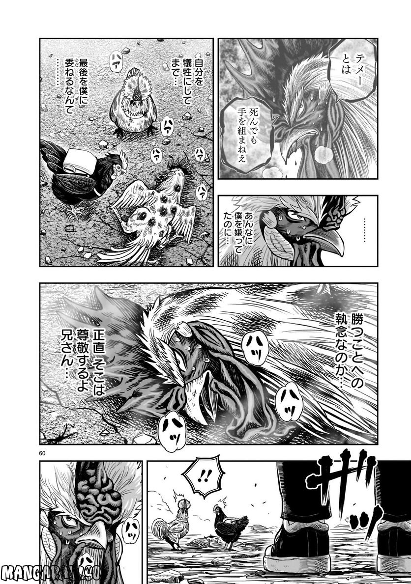 ニワトリ・ファイター - 第25話 - Page 60