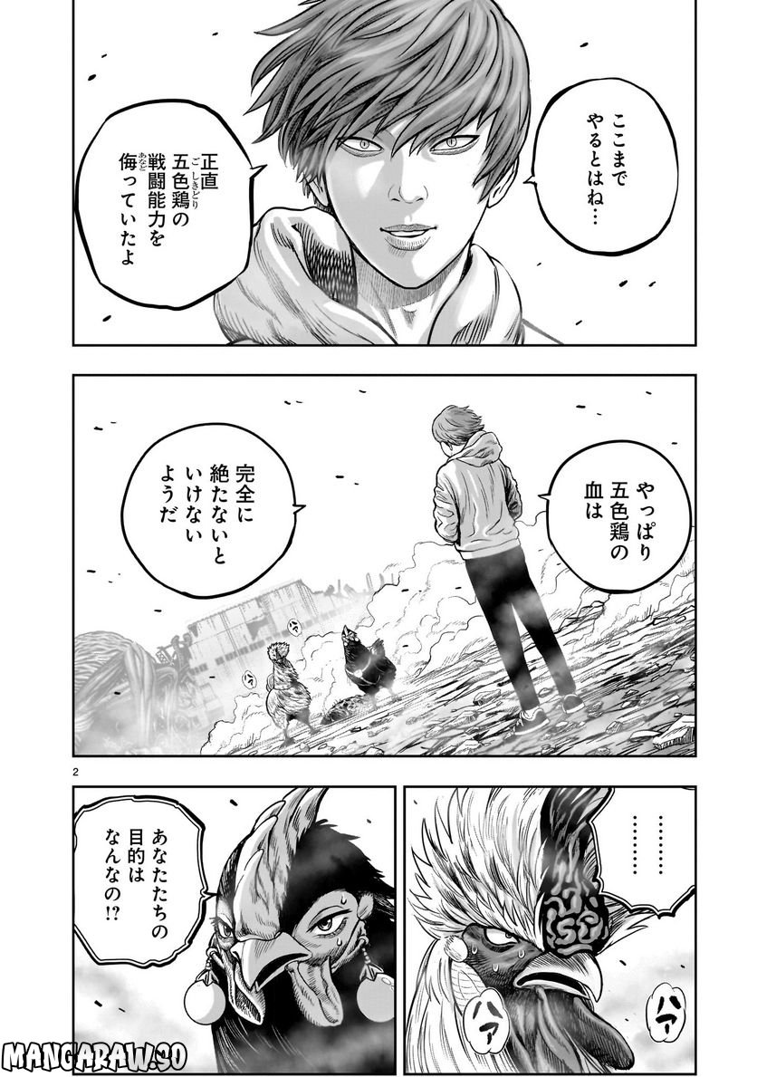 ニワトリ・ファイター - 第26話 - Page 2