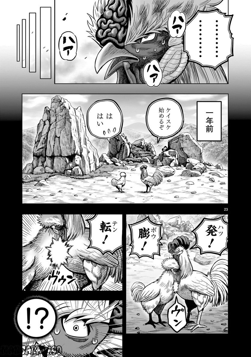 ニワトリ・ファイター - 第26話 - Page 23