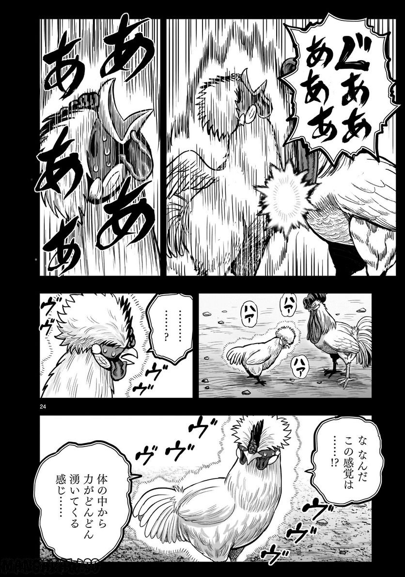 ニワトリ・ファイター - 第26話 - Page 24