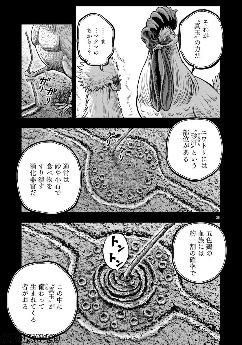 ニワトリ・ファイター - 第26話 - Page 25