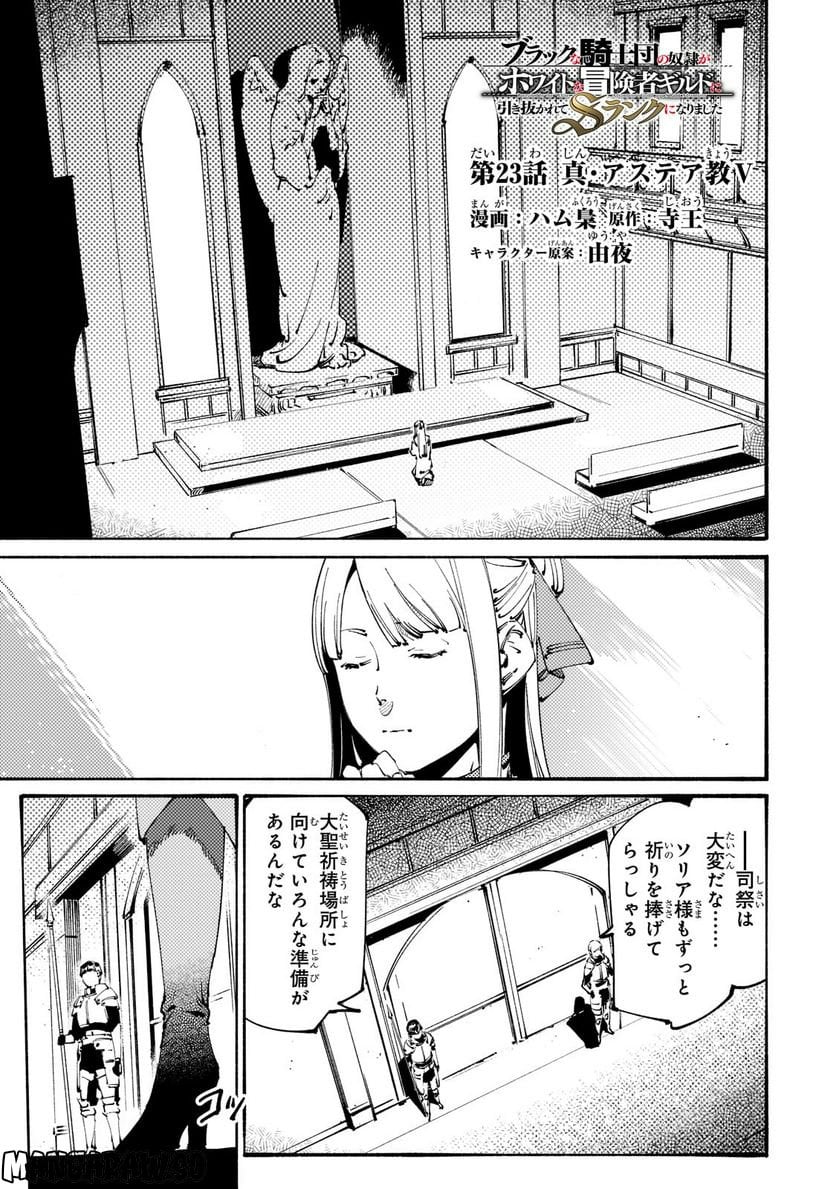ブラックな騎士団の奴隷がホワイトな冒険者ギルドに引き抜かれてSランクになりました 第23.1話 - Trang 1