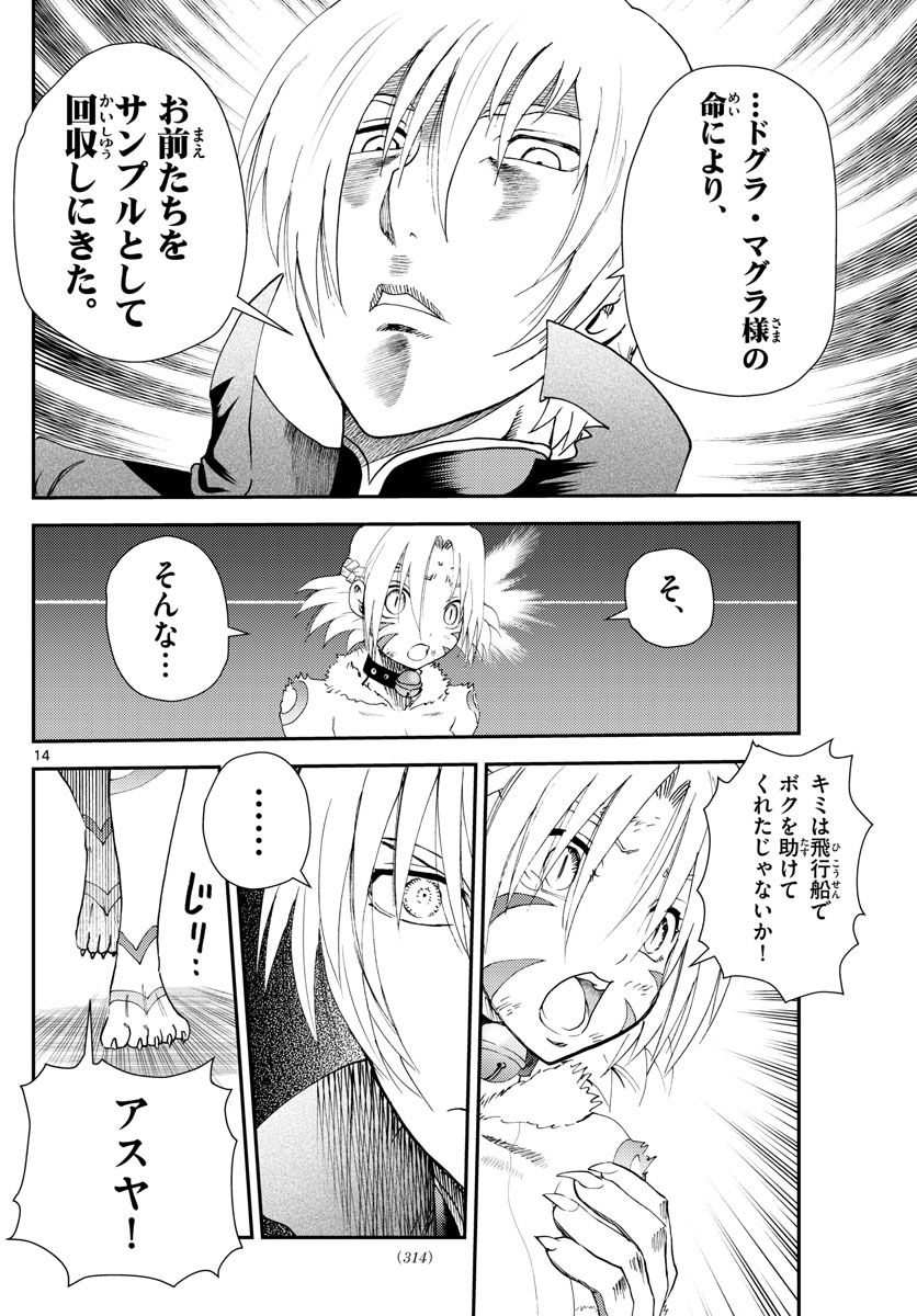 君は008 - 第246話 - Page 14