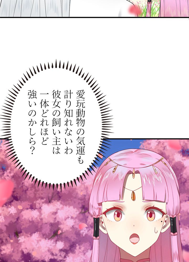 修練し続け3000年 第176話 - Trang 42