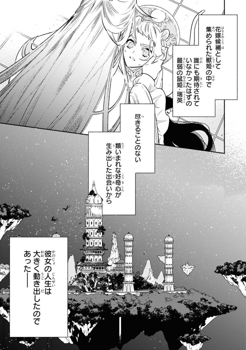 竜王陛下の逆鱗サマ ～本好きネズミ姫ですが、なぜか竜王の最愛になりました～ 第1.3話 - Trang 13