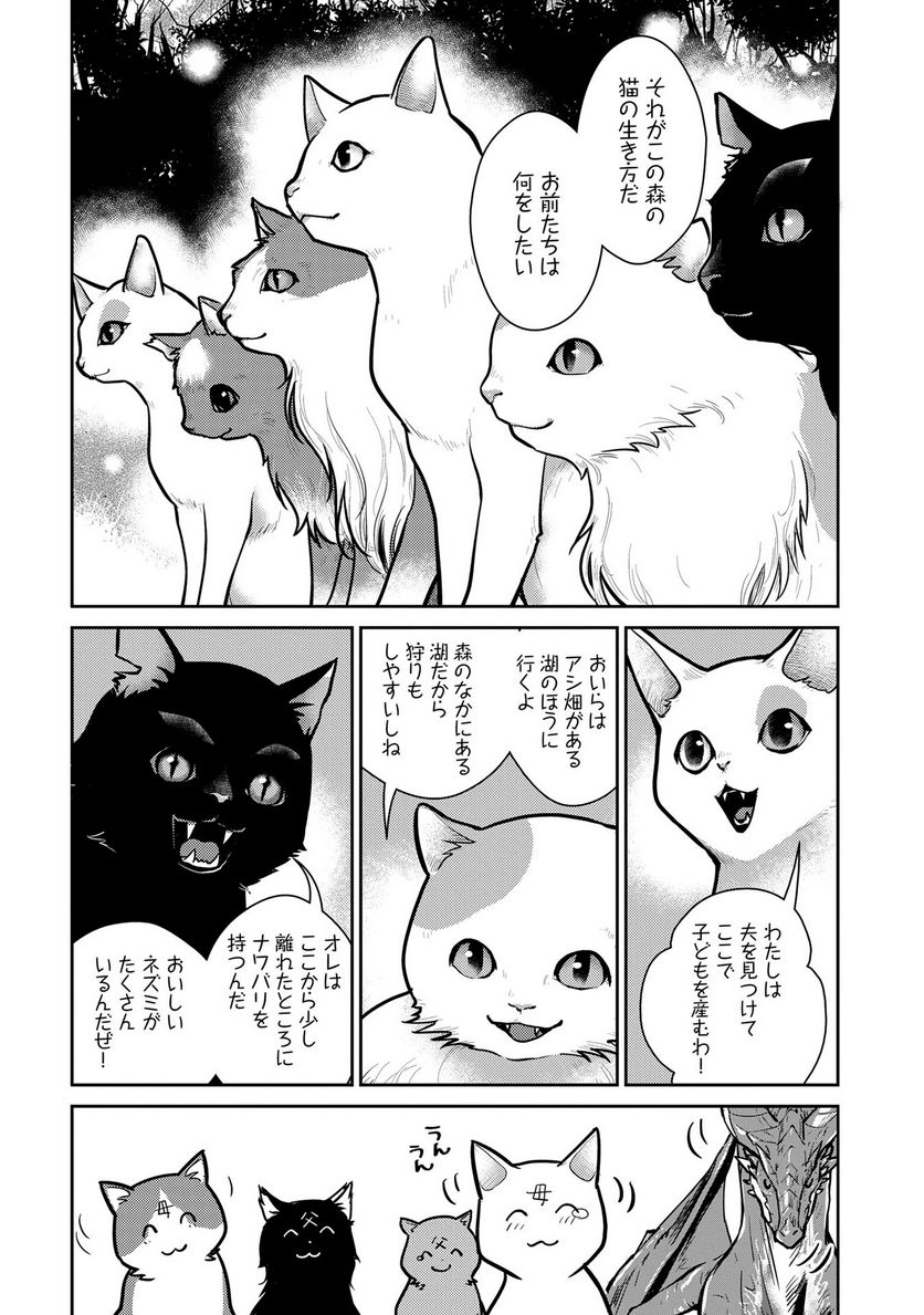 猫と竜 - 第3話 - Page 27