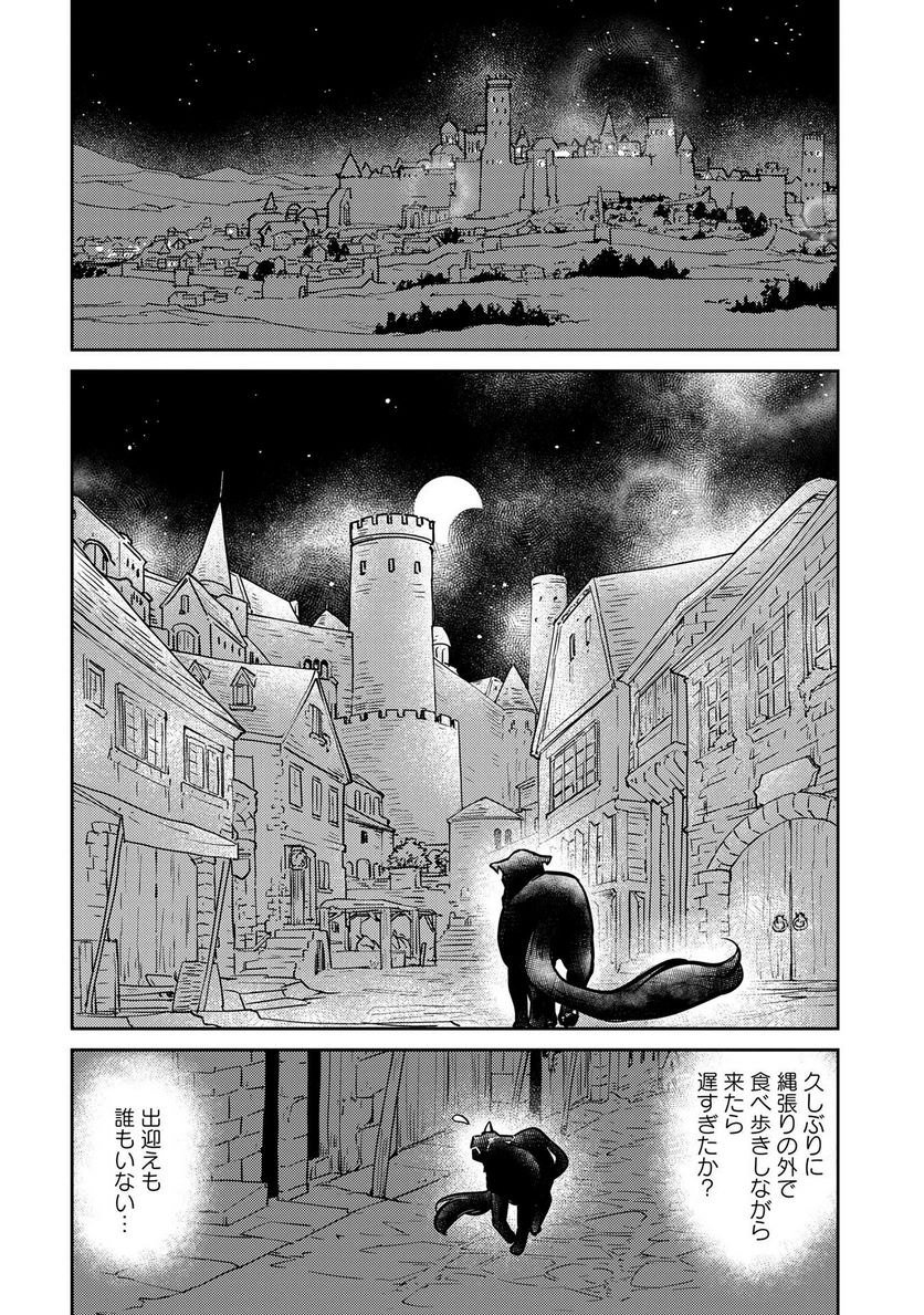 猫と竜 - 第4話 - Page 7