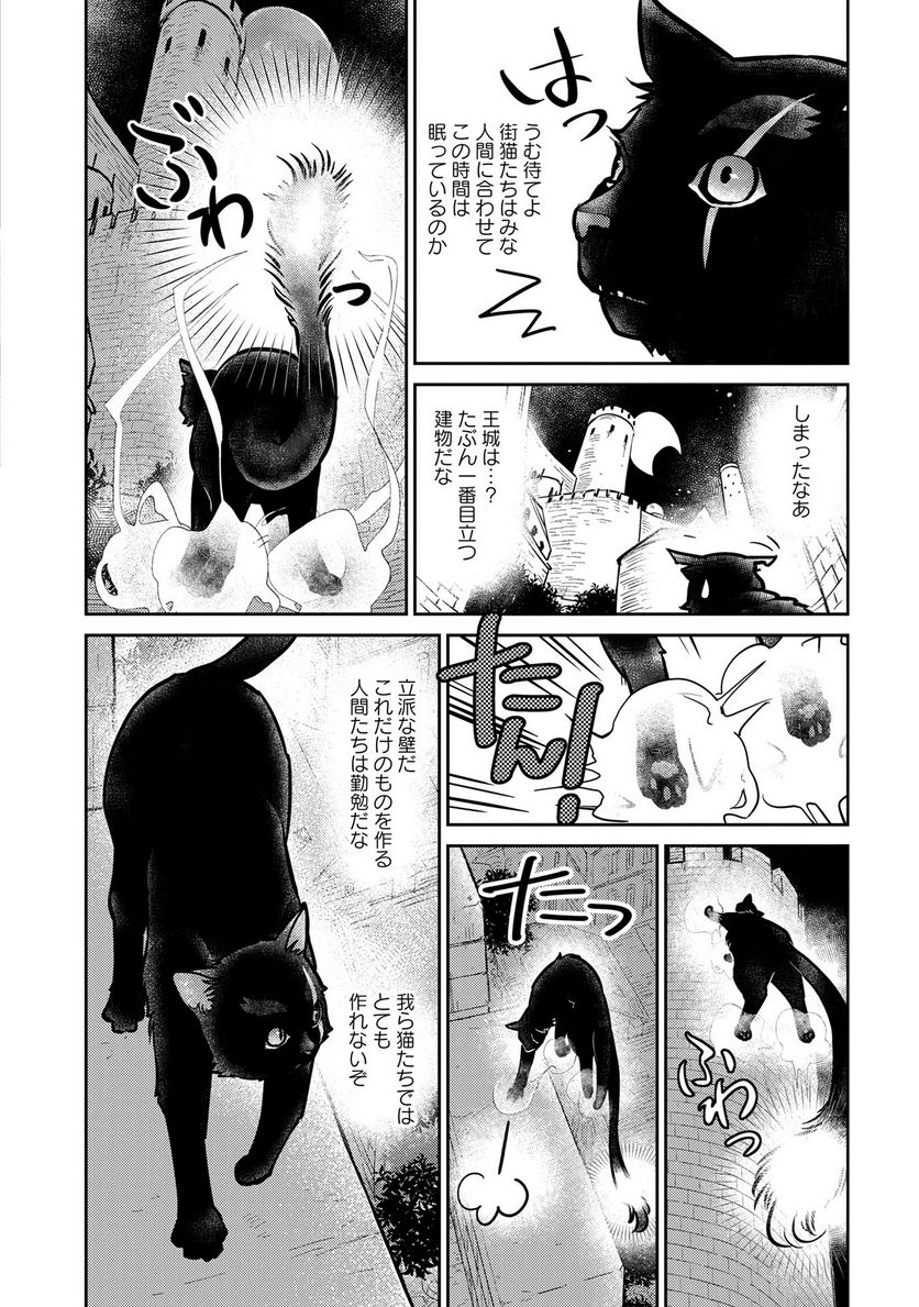 猫と竜 - 第4話 - Page 8