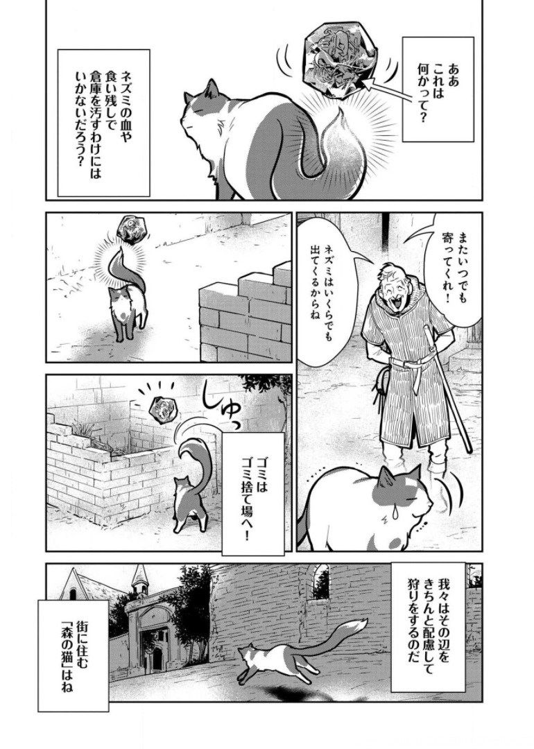 猫と竜 - 第8話 - Page 27