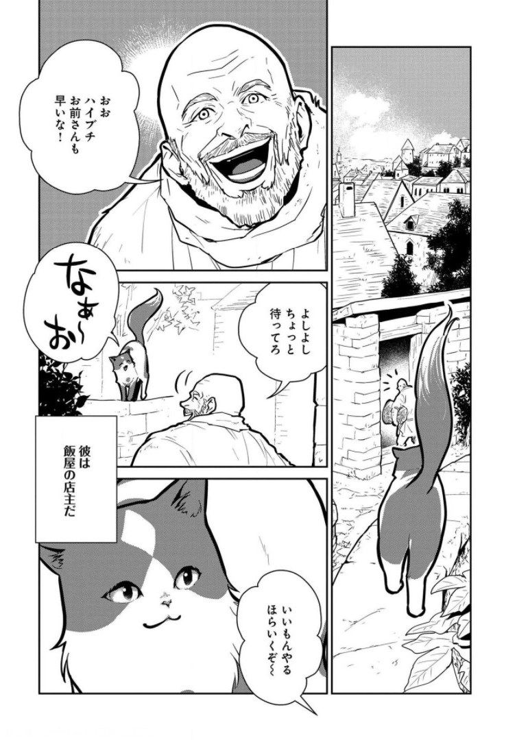 猫と竜 - 第8話 - Page 6