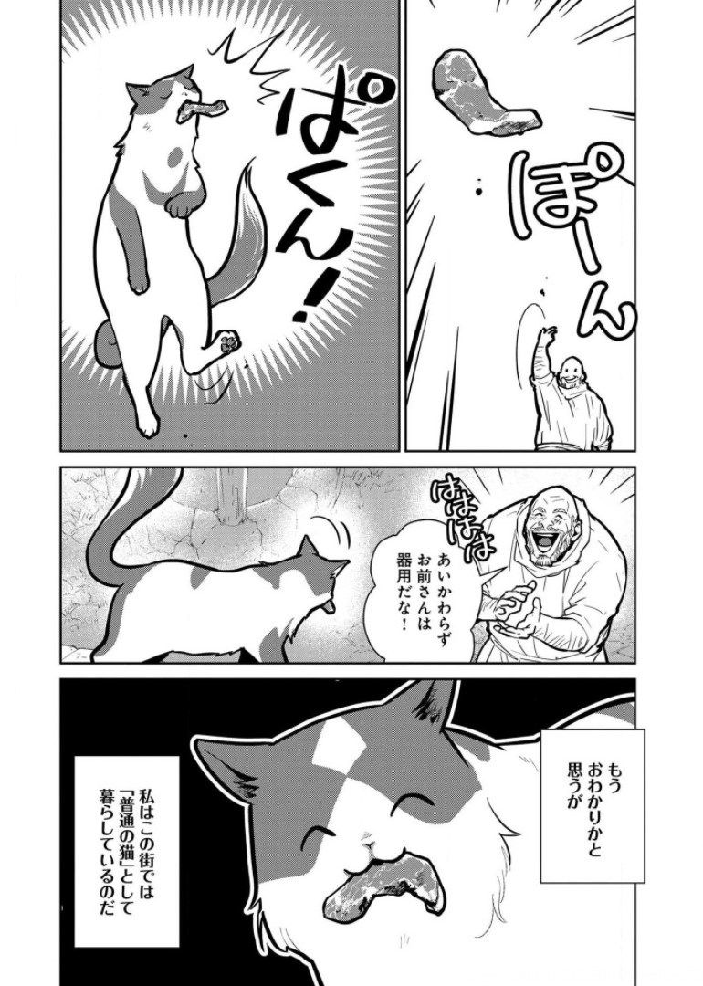 猫と竜 - 第8話 - Page 7