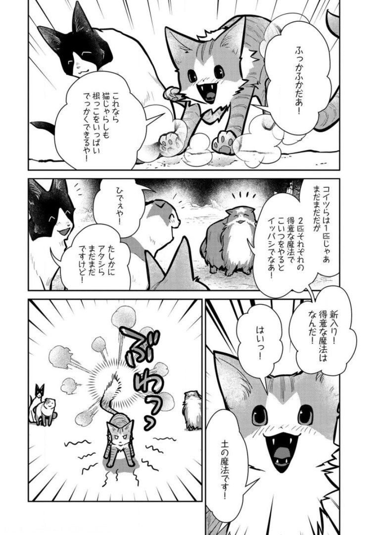 猫と竜 - 第9話 - Page 14