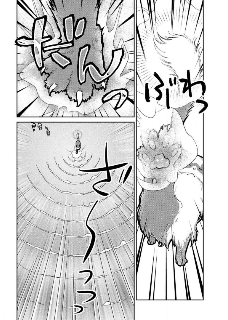 猫と竜 - 第9話 - Page 16