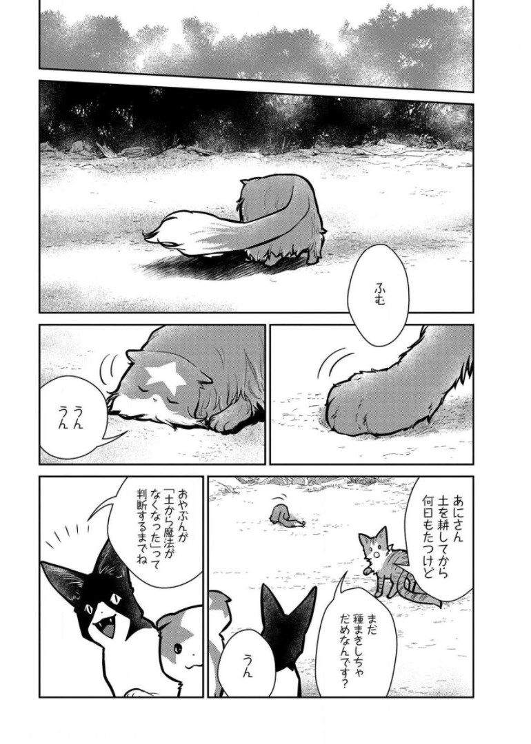 猫と竜 - 第9話 - Page 20