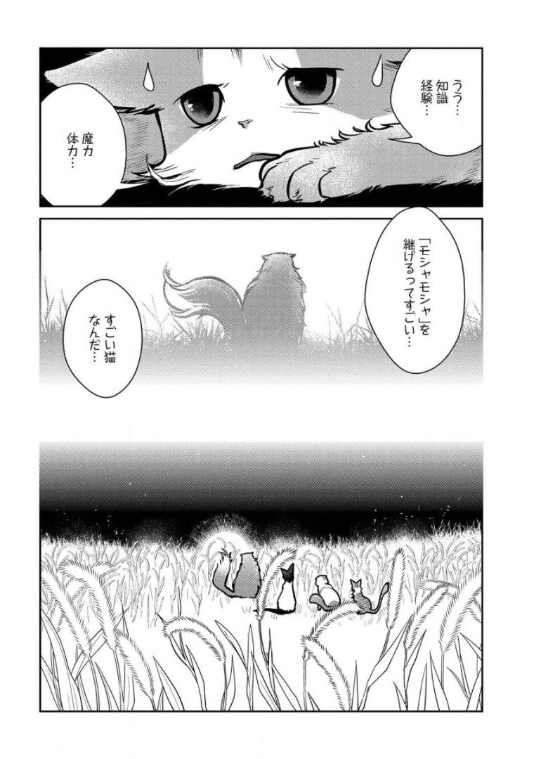 猫と竜 - 第9話 - Page 32