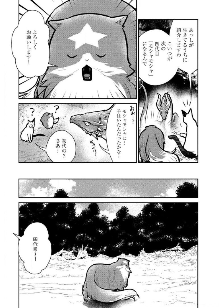 猫と竜 - 第9話 - Page 7