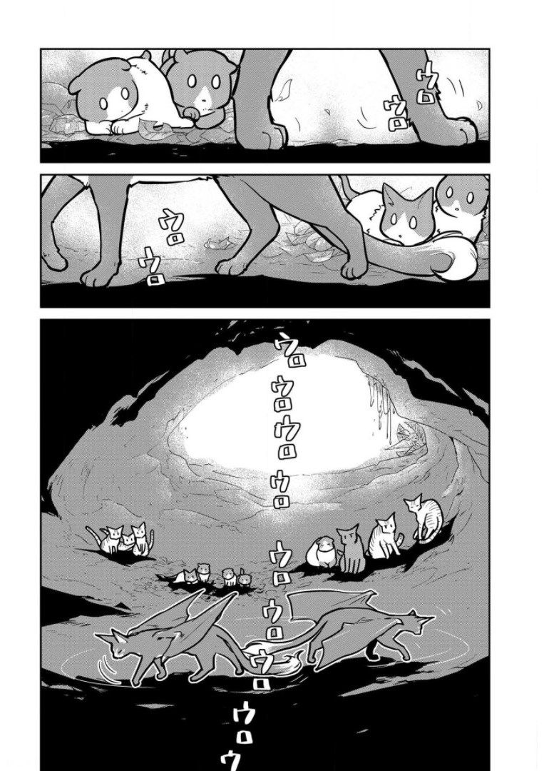 猫と竜 - 第10話 - Page 2