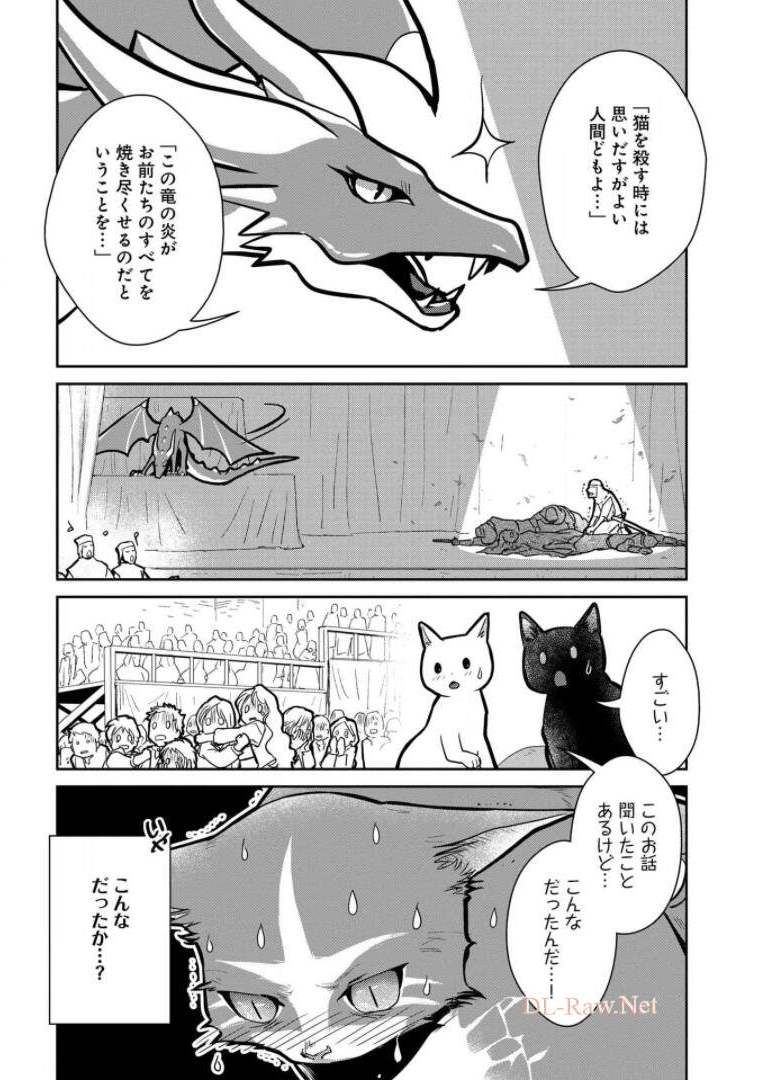 猫と竜 - 第10話 - Page 22