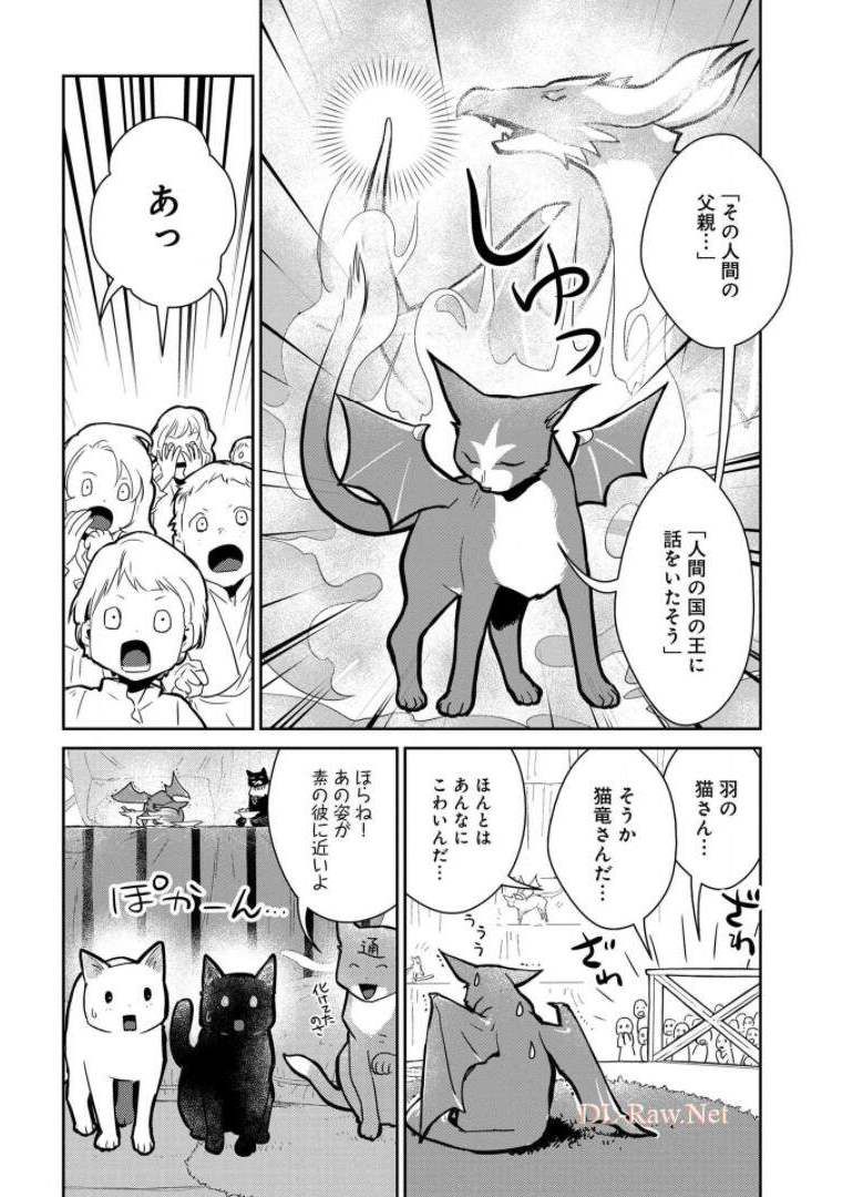 猫と竜 - 第10話 - Page 26