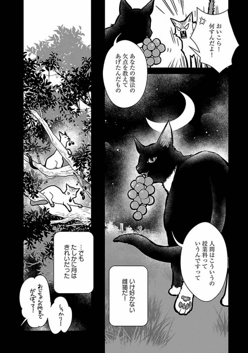 猫と竜 - 第15話 - Page 24