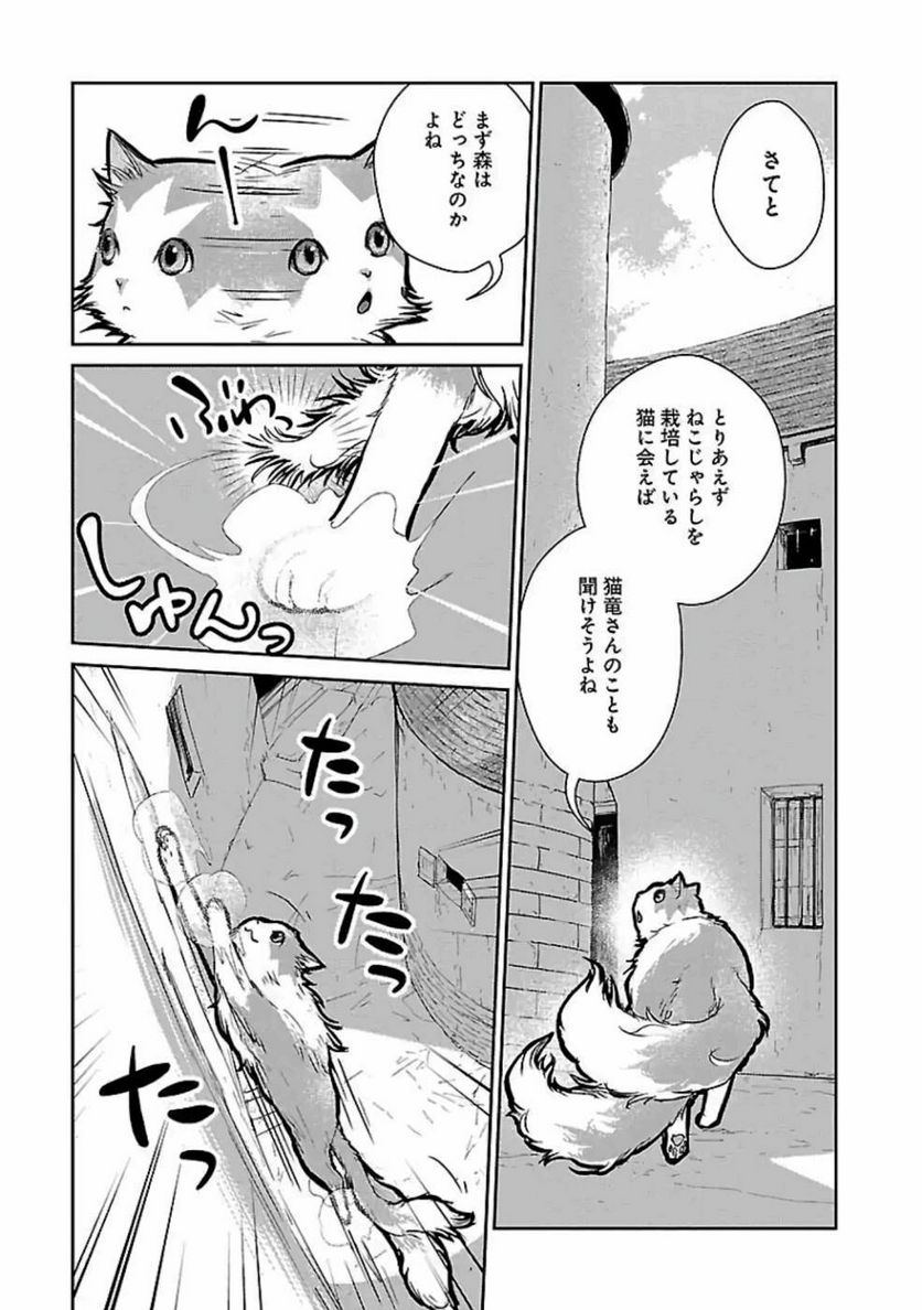 猫と竜 - 第19話 - Page 15