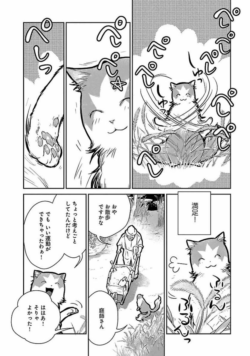 猫と竜 - 第19話 - Page 4