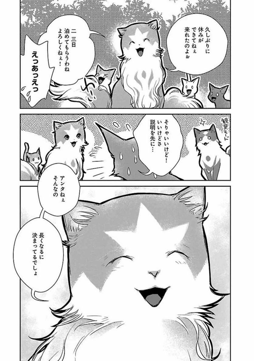 猫と竜 - 第19話 - Page 33