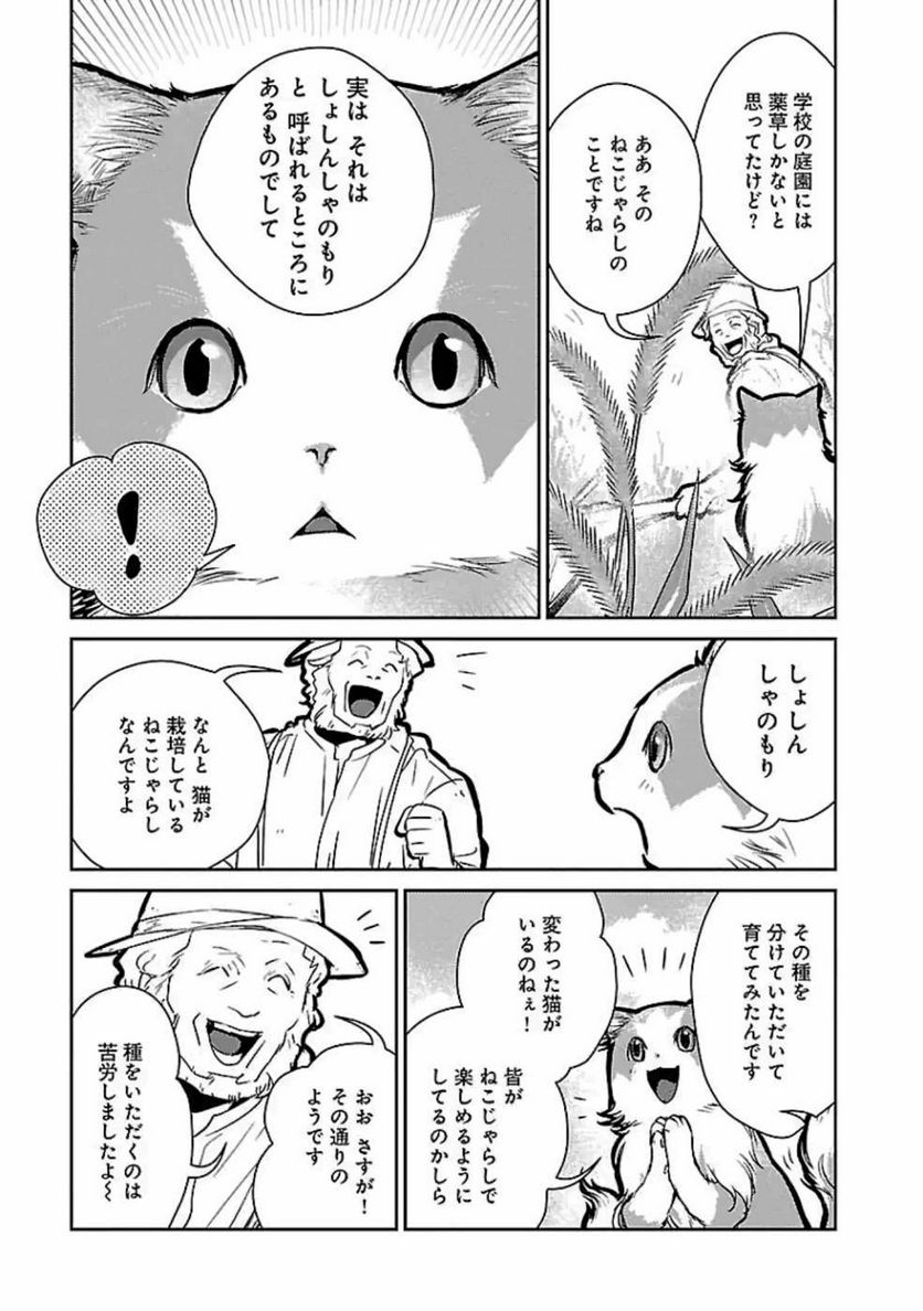 猫と竜 - 第19話 - Page 5