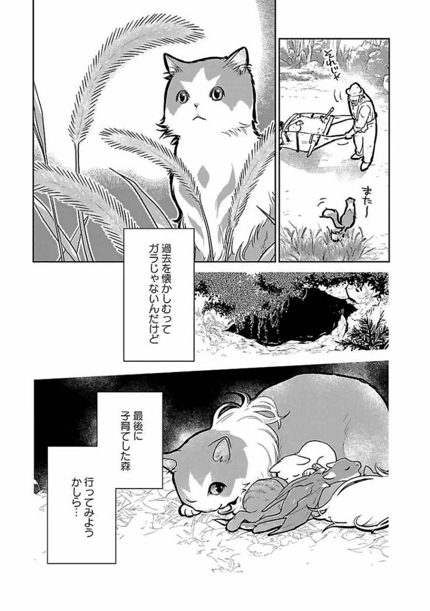 猫と竜 - 第19話 - Page 7