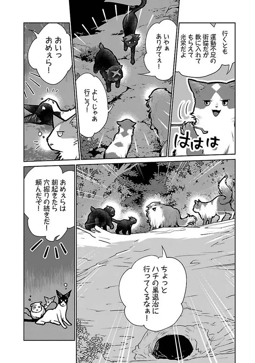 猫と竜 - 第23話 - Page 12