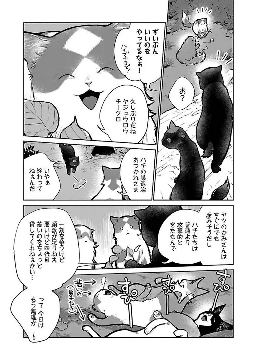 猫と竜 - 第23話 - Page 10