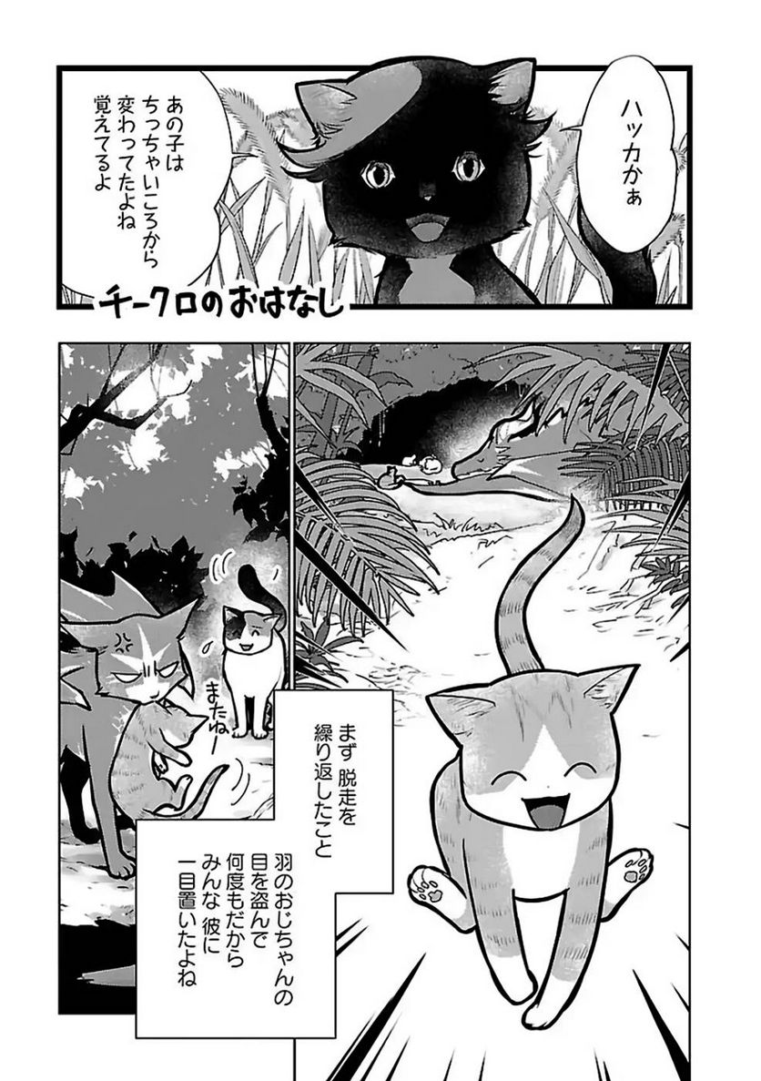 猫と竜 - 第27話 - Page 1