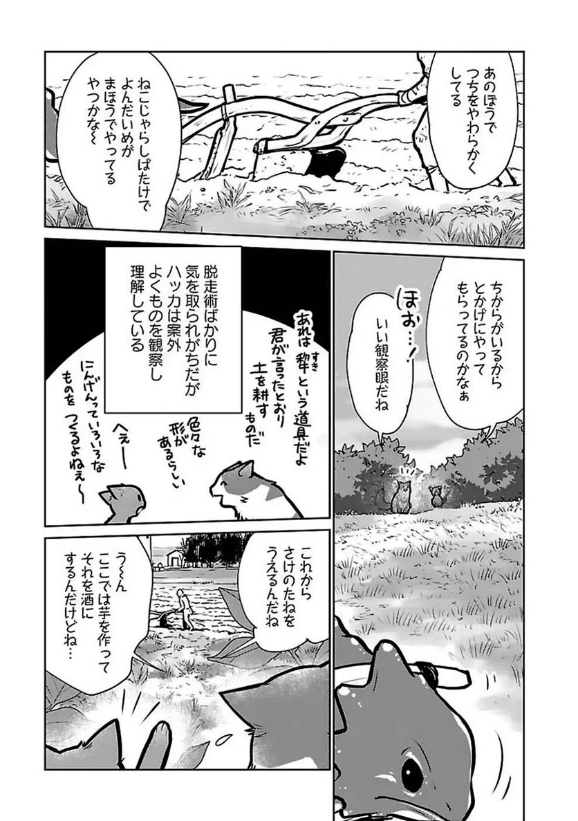 猫と竜 - 第27話 - Page 17