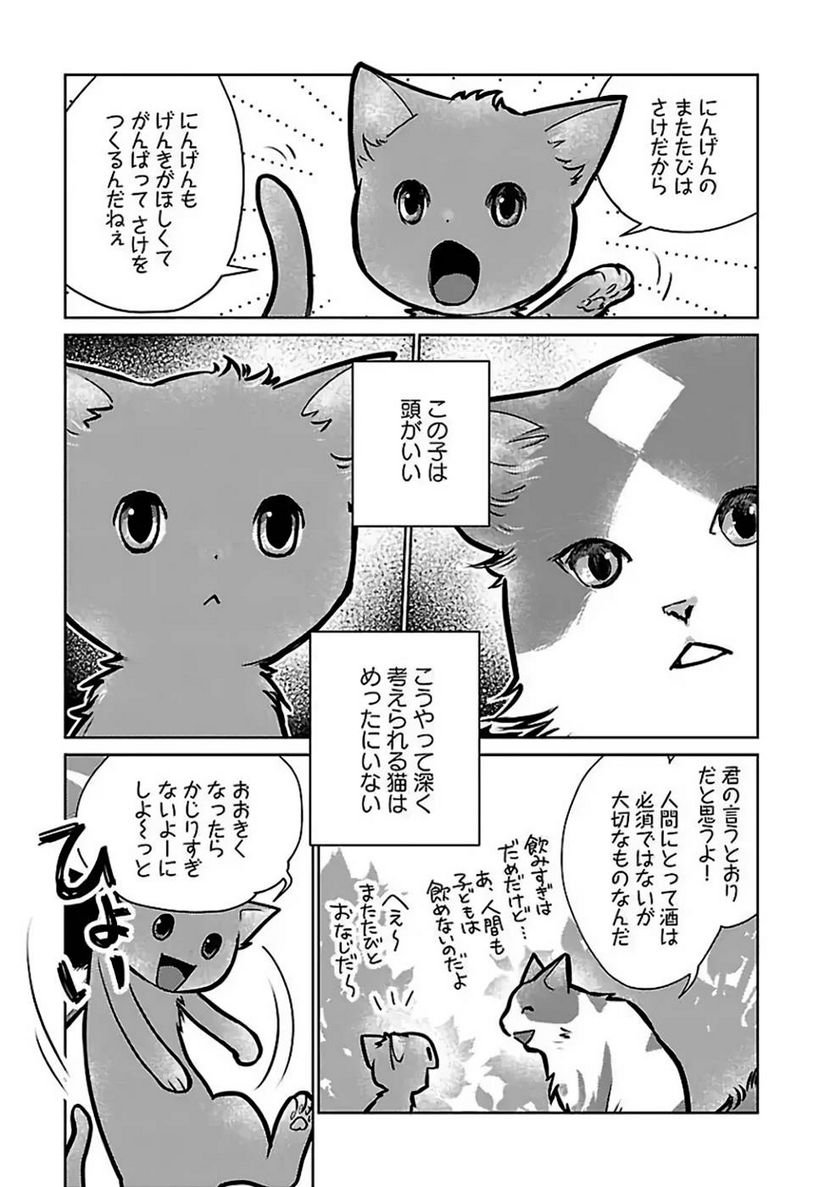 猫と竜 - 第27話 - Page 21