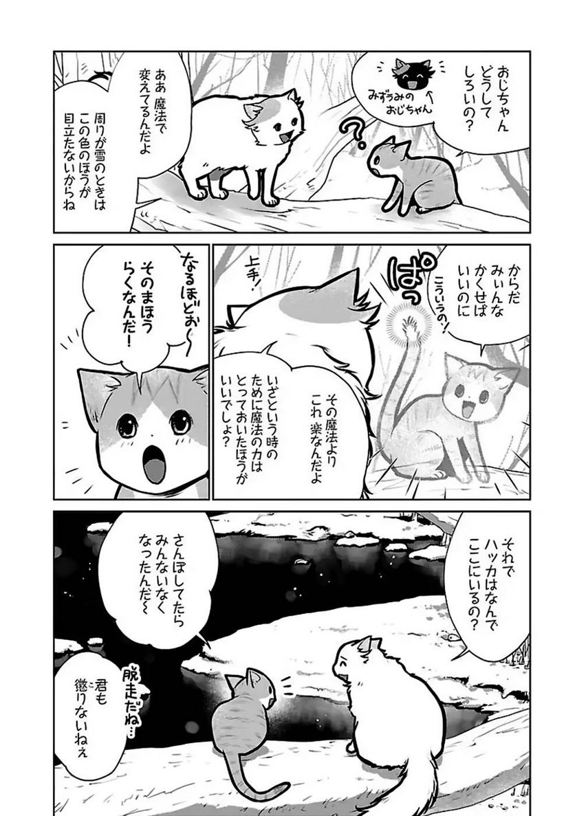 猫と竜 - 第27話 - Page 4