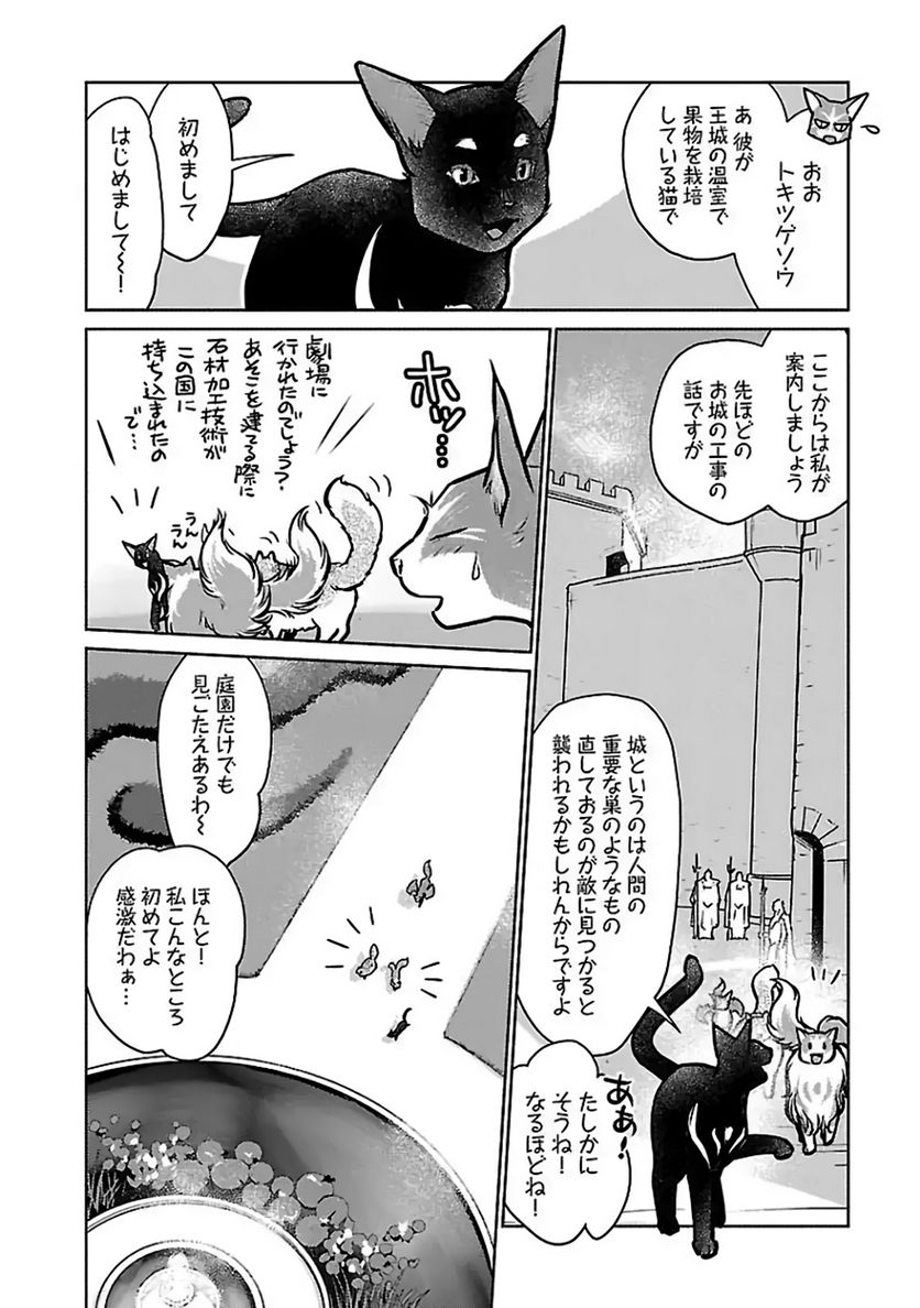 猫と竜 - 第37話 - Page 16