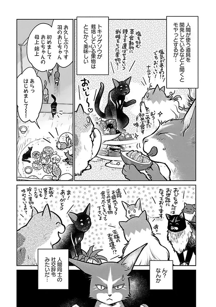 猫と竜 - 第37話 - Page 19