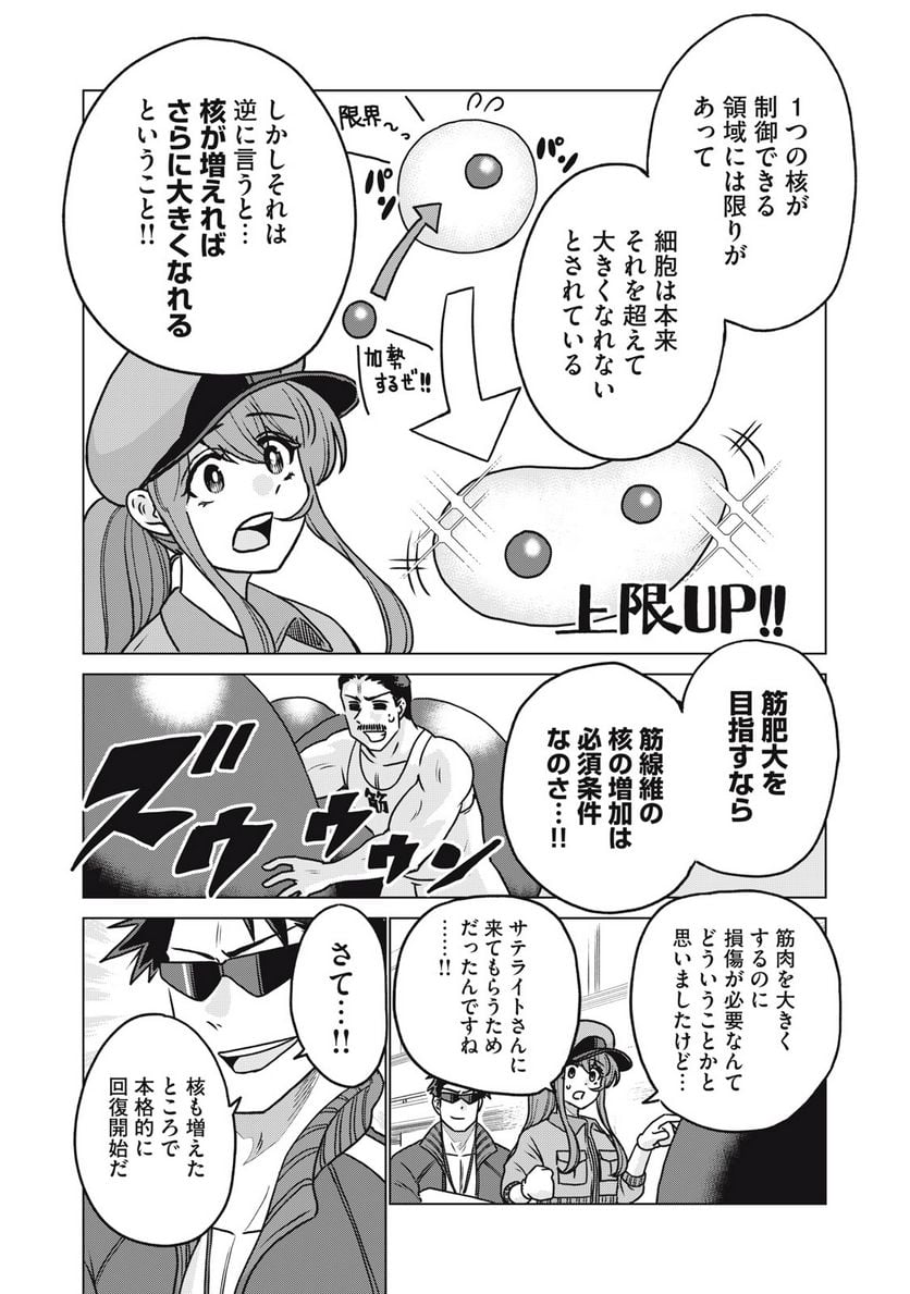 はたらく細胞マッスル - 第3話 - Page 18