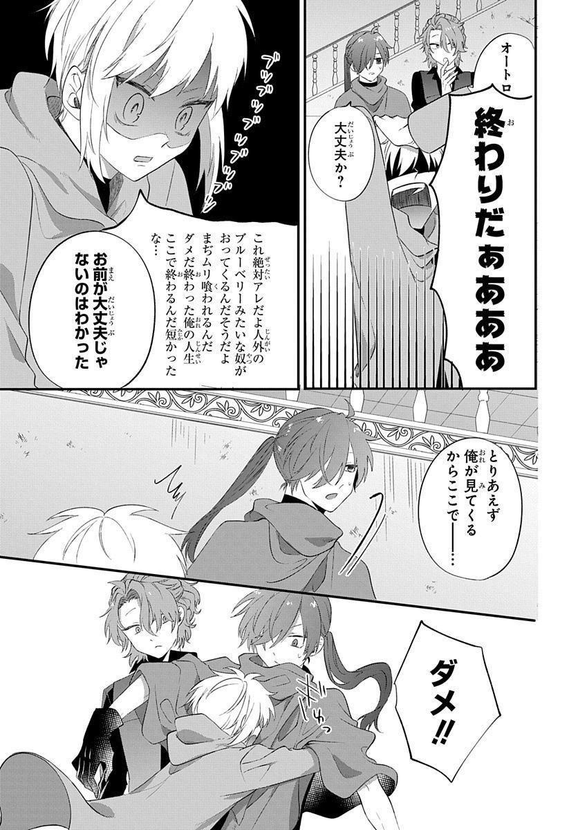 転生したら姫だったので男装女子極めて最強魔法使い目指すわ。 - 第3話 - Page 17