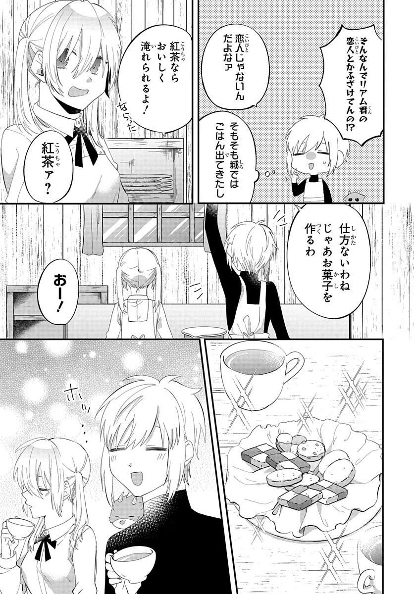 転生したら姫だったので男装女子極めて最強魔法使い目指すわ。 - 第13話 - Page 17