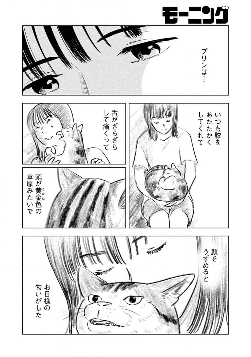 8月31日のロングサマー - 第22話 - Page 16