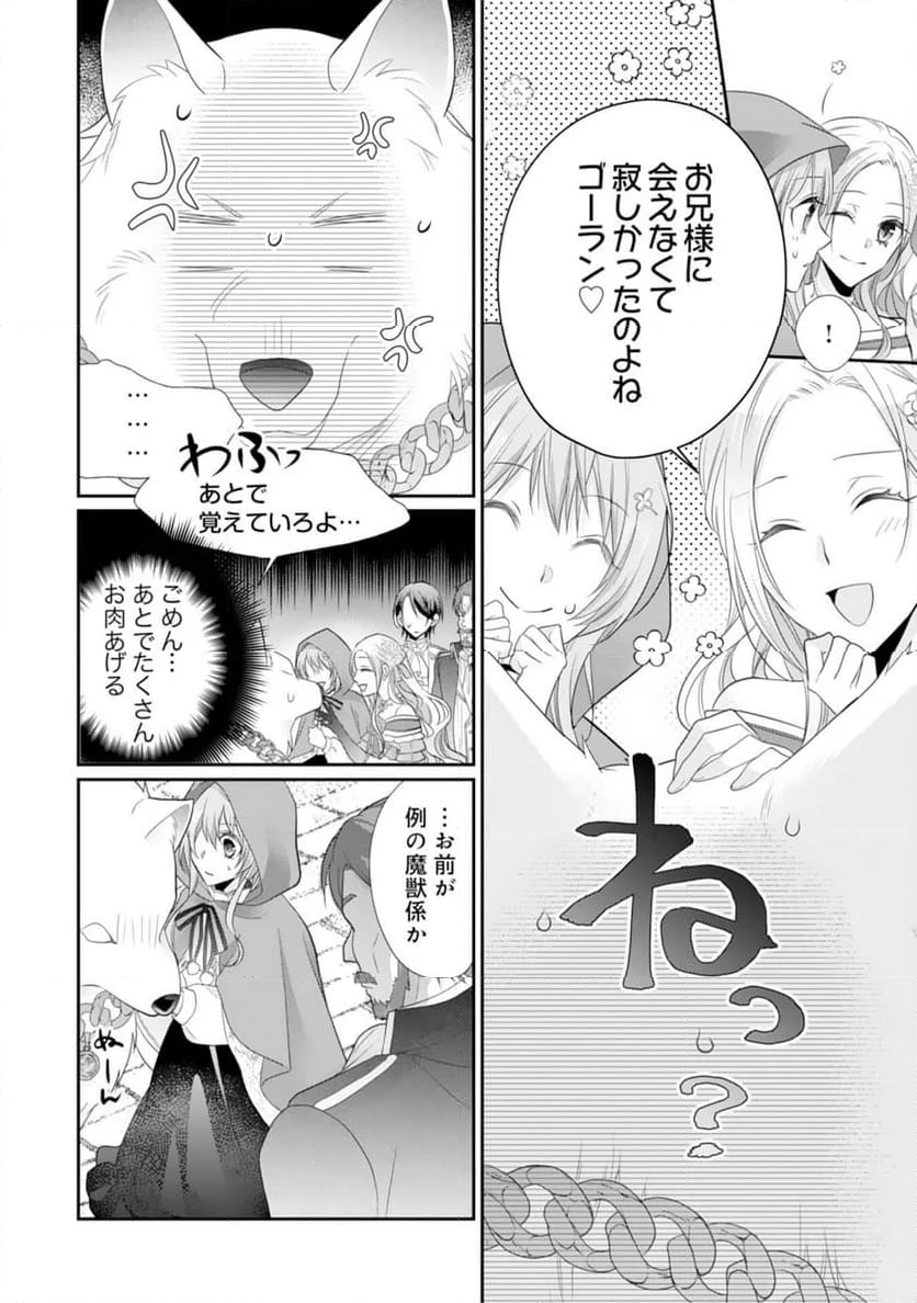 竜王陛下のもふもふお世話係～転生した平凡女子に溺愛フラグが立ちました～ - 第11話 - Page 12