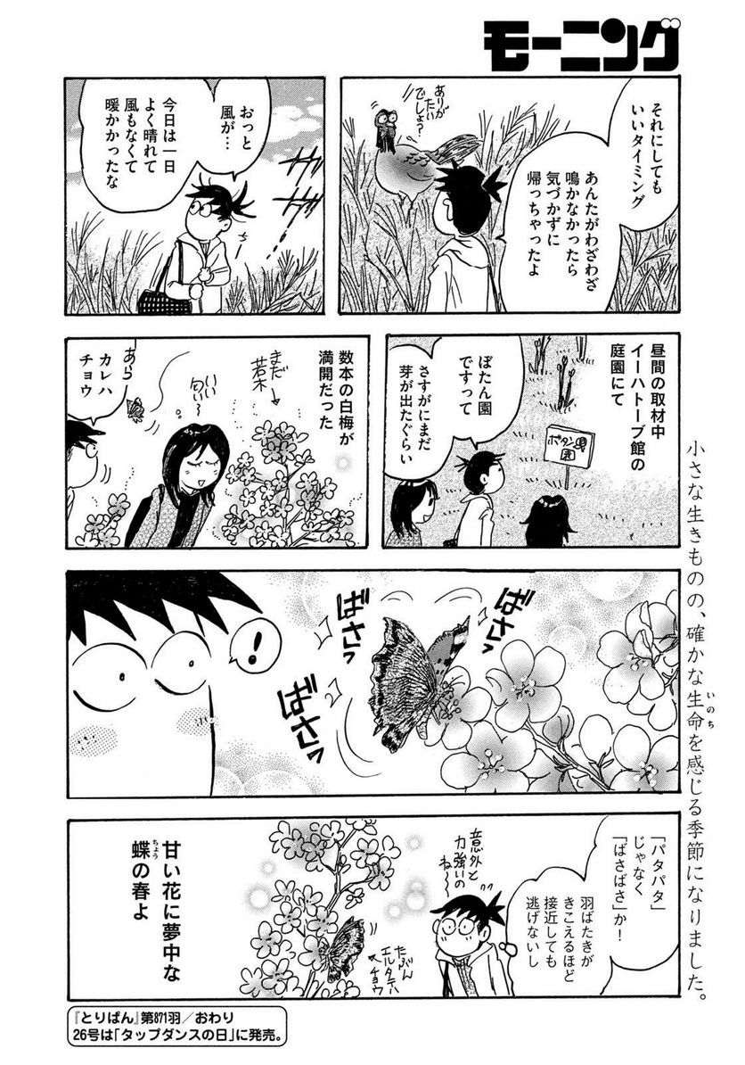 とりぱん - 第871話 - Page 4