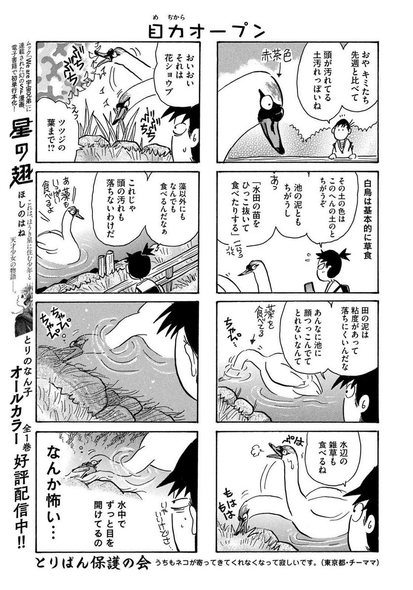 とりぱん - 第875話 - Page 3