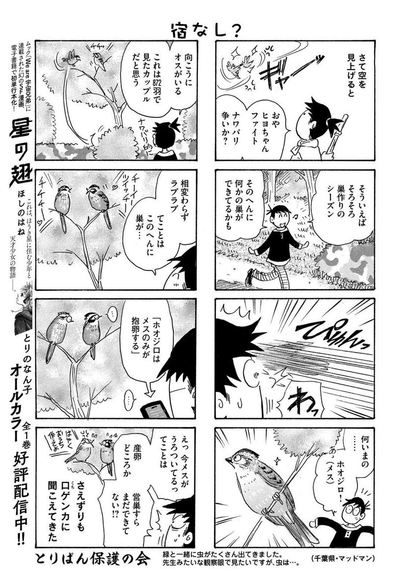 とりぱん - 第877話 - Page 3