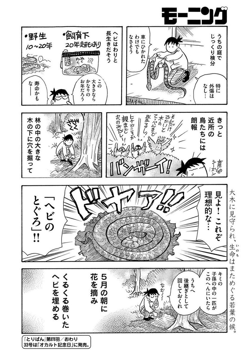 とりぱん - 第878話 - Page 4