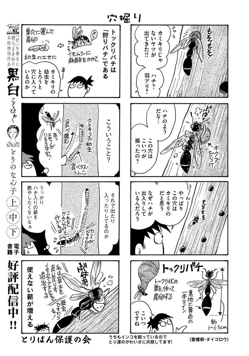 とりぱん - 第881話 - Page 3